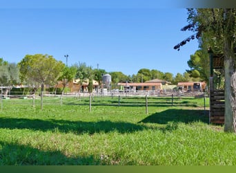 Ref 2535Sg Spanien, Valencia, Bétera - elegante Villa mit Reitstall zu verkaufen!