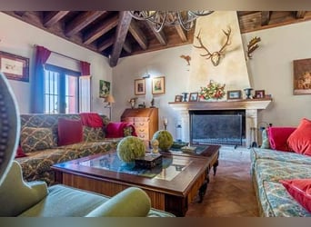 Ref2525FS Andalusien, nahe Sevilla - authentischer Cortijo zu verkaufen!