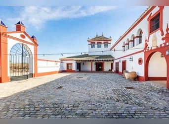 Ref2525FS Andalusien, nahe Sevilla - authentischer Cortijo zu verkaufen!