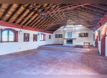 Ref2525FS Andalusien, nahe Sevilla - authentischer Cortijo zu verkaufen!