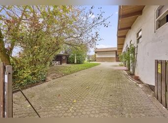Reitanlage an der Bergstraße: Romantisches Holzhaus & ländliche Ruhe in Lorsch