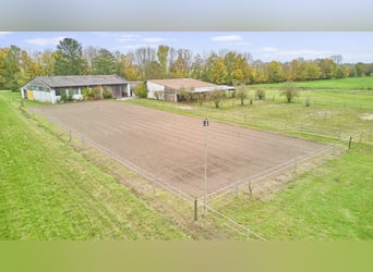 Reitanlage an der Bergstraße: Romantisches Holzhaus & ländliche Ruhe in Lorsch
