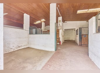 Reitanlage an der Bergstraße: Romantisches Holzhaus & ländliche Ruhe in Lorsch