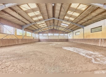 Reitanlage an der Bergstraße: Romantisches Holzhaus & ländliche Ruhe in Lorsch