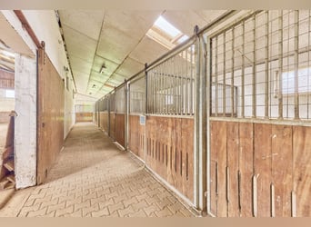 Reitanlage an der Bergstraße: Romantisches Holzhaus & ländliche Ruhe in Lorsch