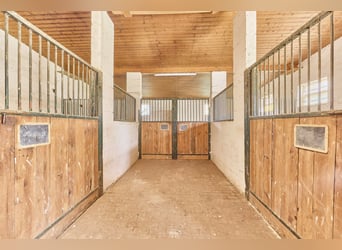 Reitanlage an der Bergstraße: Romantisches Holzhaus & ländliche Ruhe in Lorsch