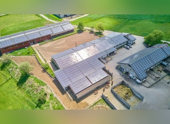 Reitanlage bei Villingen-Schwenningen mit zwei Reithallen & ländlicher Wohnidylle!