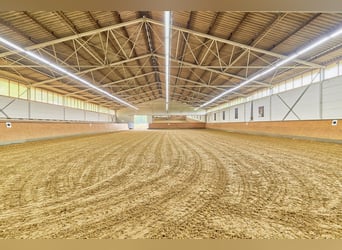 Reitanlage im Kreis Wesel zu verkaufen – Preis inkl. Dachsanierung!