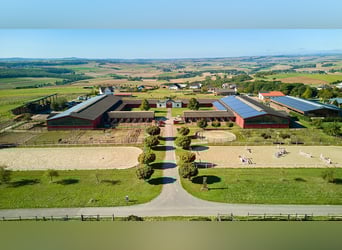 Reitanlage im Pferdepark im Maifeld – in Mitten des Sonderbaugebietes “Wohnen mit Pferden” in Lonnig