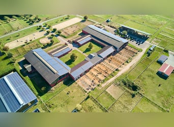 Reitanlage im Pferdepark im Maifeld – in Mitten des Sonderbaugebietes “Wohnen mit Pferden” in Lonnig