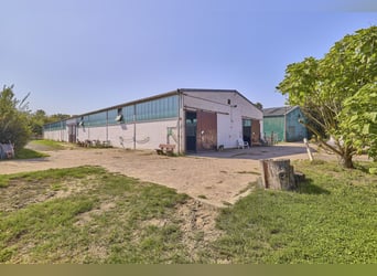 Reitanlage im Rhein-Main-Gebiet in Egelsbach mit mehr als 20 Hektar Fläche!
