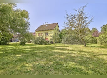 Reitanlage im Rhein-Main-Gebiet in Egelsbach mit mehr als 20 Hektar Fläche!