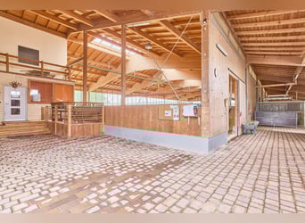 Reitanlage in Bayern mit historischem Wohnhaus und gepflegten Trainingsbedingungen!