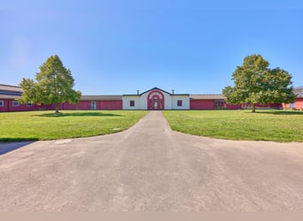 Reitanlage in Lonnig zu verkaufen – in Mitten des Sonderbaugebietes “Wohnen mit Pferden”