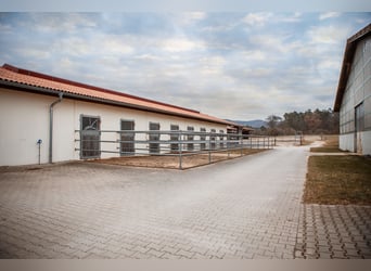 Reitanlage mit 10 ha Land zwischen Würzburg und Bamberg