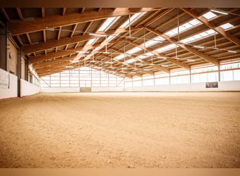 Reitanlage mit 10 ha Land zwischen Würzburg und Bamberg