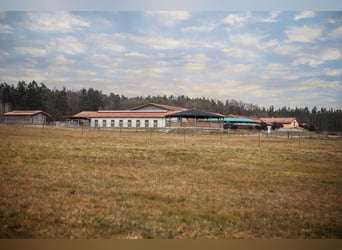 Reitanlage mit 10 ha Land zwischen Würzburg und Bamberg