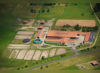 Reitanlage mit 10 ha Land zwischen Würzburg und Bamberg