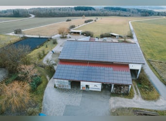 Reitanlage mit Wohnhaus, arrondierten Flächen und moderner PV-Anlage