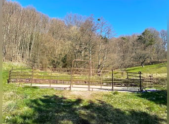 Reiterhof - Hofgut bei Freiburg im Breisgau