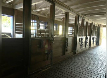 Reiterhof - Hofgut bei Freiburg im Breisgau