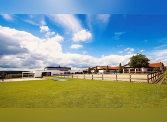 Reitowa idylla spotyka się z designem – stylowo żyć, luksusowo się rozkoszować V13132