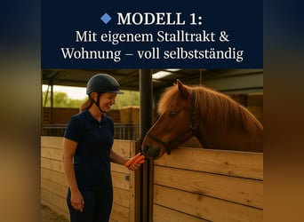 Reitschule gründen – auf professioneller Anlage mit voller Unterstützung