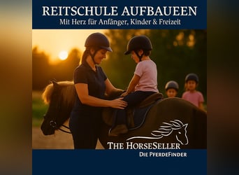 Reitschule gründen – auf professioneller Anlage mit voller Unterstützung