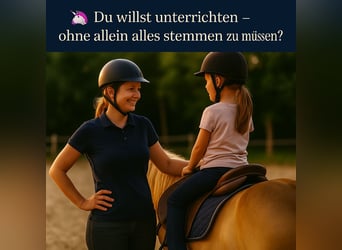 Reitschule gründen – auf professioneller Anlage mit voller Unterstützung