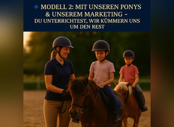 Reitschule gründen – auf professioneller Anlage mit voller Unterstützung