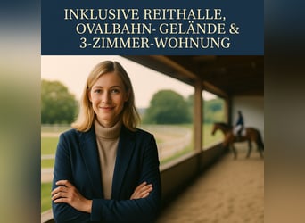 Reitschule gründen – auf professioneller Anlage mit voller Unterstützung