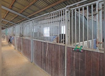 Reitsportanlage mit hochwertigem und modernem Einfamilienhaus und fünf Hektar Land
