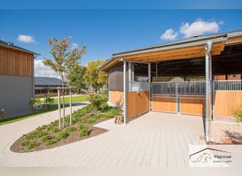 Reitsportanlage  nähe München