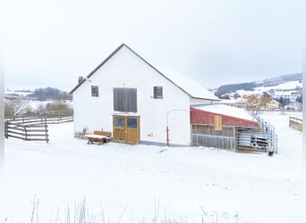 RESERVIERT: Reitanlage mit Reiterstube – Alleinlage inmitten Südthüringer Natur + perfekte Anbindung