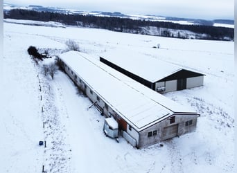 RESERVIERT: Reitanlage mit Reiterstube – Alleinlage inmitten Südthüringer Natur + perfekte Anbindung