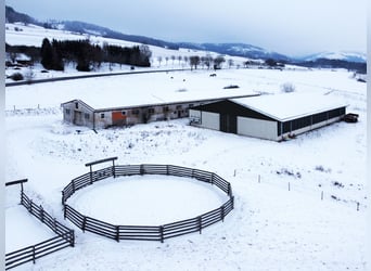 RESERVIERT: Reitanlage mit Reiterstube – Alleinlage inmitten Südthüringer Natur + perfekte Anbindung