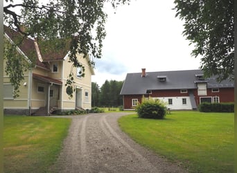 Schweden - Einzigartiger Pferdehof zum Verkauf angeboten!