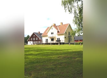 Schweden - Einzigartiger Pferdehof zum Verkauf angeboten!