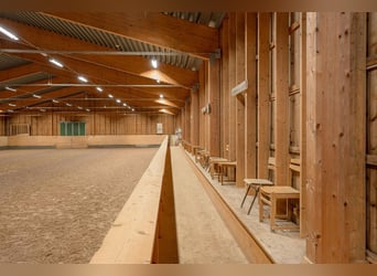 Schweden - Einzigartiger Pferdehof zum Verkauf angeboten!