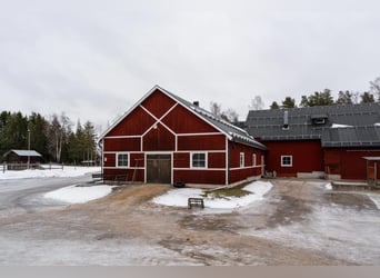 Schweden - Einzigartiger Pferdehof zum Verkauf angeboten!