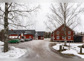 Schweden - Einzigartiger Pferdehof zum Verkauf angeboten!