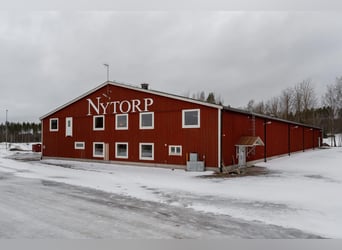 Schweden - Einzigartiger Pferdehof zum Verkauf angeboten!