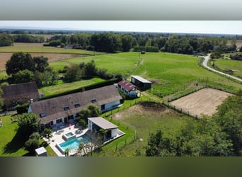 Spokojna przystań dla koni