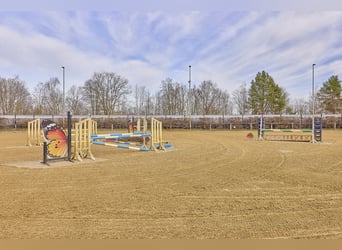 Stadnina jeździecka na sprzedaż w Dolnej Saksonii, na około 3 hektarach działki – już odnowiona!