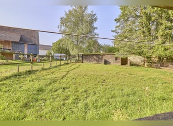 Stadnina koni w Nadrenii-Palatynacie z 8 boksami i małą halą w Niederhambach!