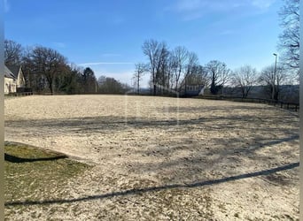 Stajnia jeździecka w Ibbenbüren