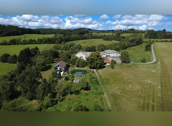 Stajnia konna w Harzu w Bad Sachsa – Duży gospodarstwo z własną stajnią i krytą ujeżdżalnią, położon