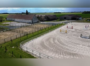 Stajnia właścicieli i hodowli