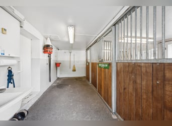 Stilvolles Landhaus mit Pferdestallung und Dressurplatz in ruhiger Lage nahe Basel
