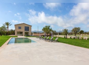 Tradition trifft Moderne – Ein mallorquinisches Landgut im zeitlosen Glanz